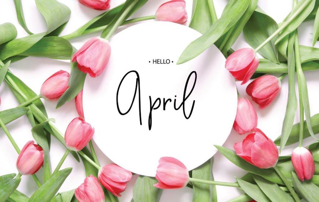 hello april handwriting on paper with pink tulips
