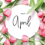 hello april handwriting on paper with pink tulips