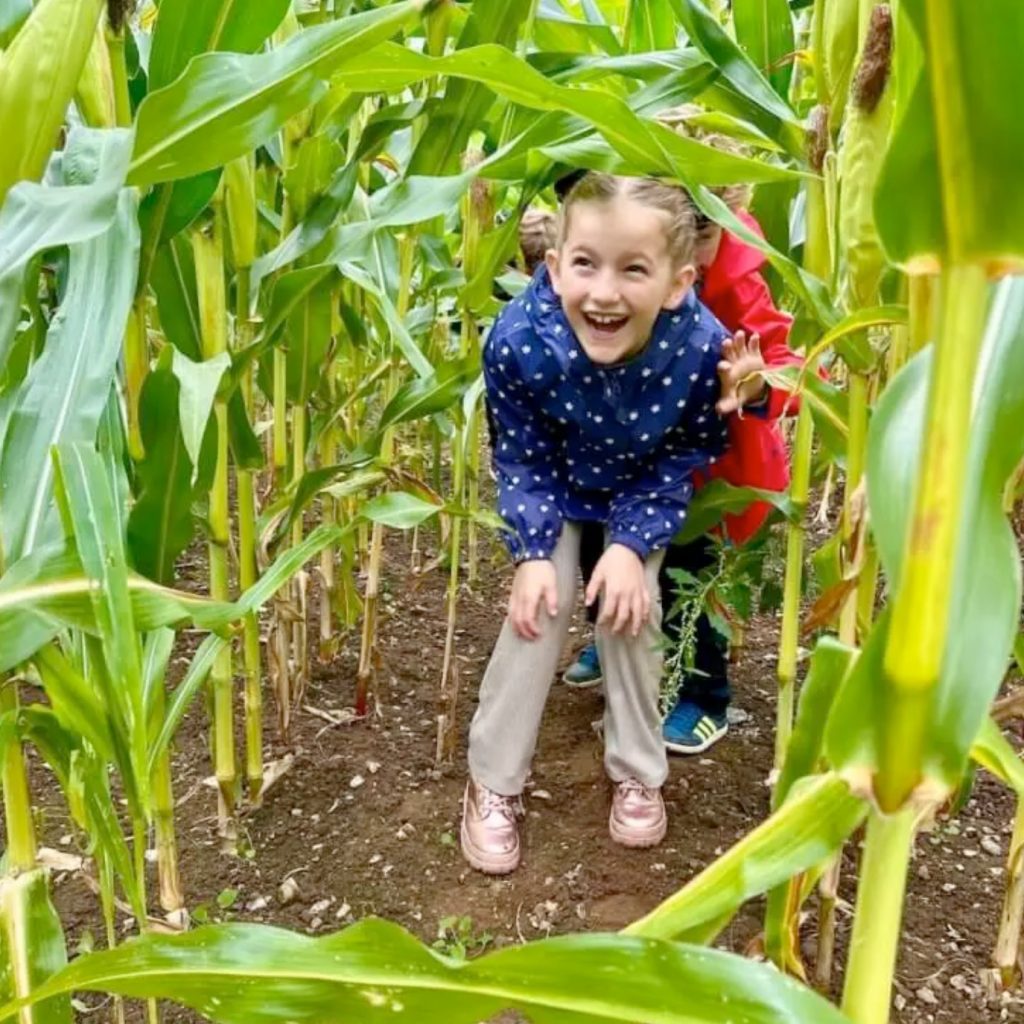 realparent.co.uk collaboration with a clothing company - kids running through a maize maze